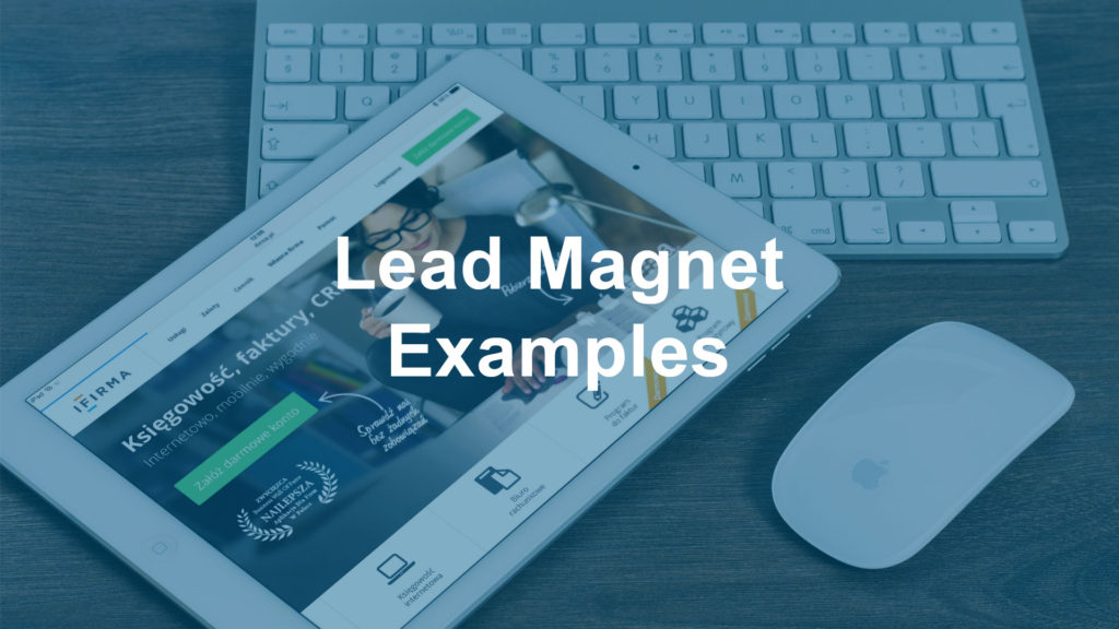 Lead Magnet Examples